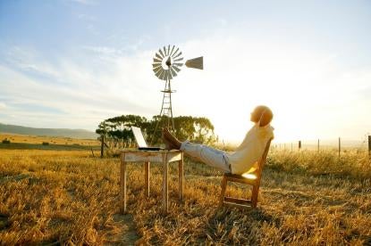 man in field with computer and windmill