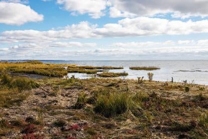 SCOTUS Regulatory Changes on MA Wetlands Permitting Sackett v EP