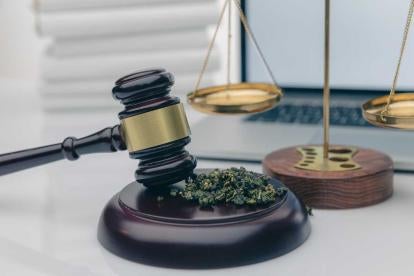 2022 Midterm Elections and Cannabis Law SAFE Banking Act