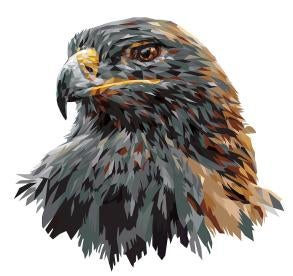 USFWS Proposes Revisions To Struggling Eagle Take Permitting Process