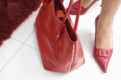 Dior Saddle Bag Purse Trade Mark Case
