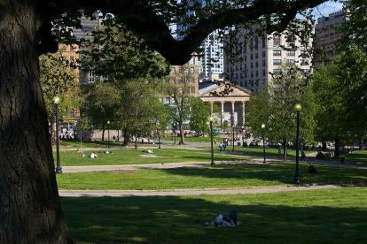 Boston Common Upgrades will include a dog park