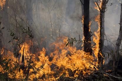 What Employers Should Know About Canadian Wildfire Impact