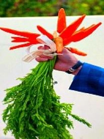 Handing a bouquet of carrots