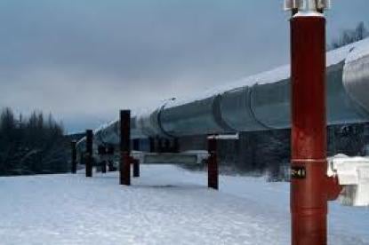 Alaskan Pipeline - Environmental Law