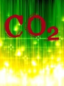 CO2 Environmental Law