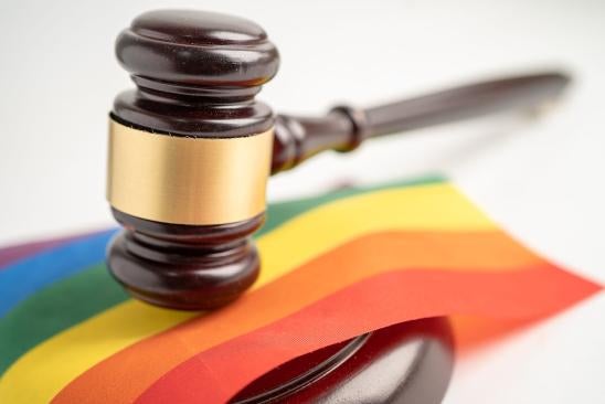 Meriwether v. Hartop and Meriwether v. Hartop and LGBTQ Rights  Gavel Rainbow Flag