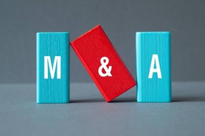 FTC M&A Guidelines