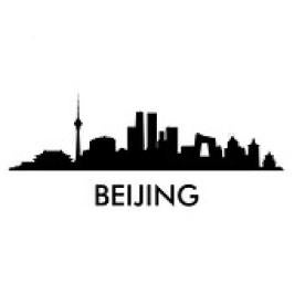 Beijing China Intellectual Property Trademark Decision