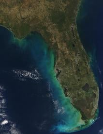 Florida View From Space