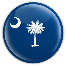 South Carolina Department of Revenue Government Services Ruling
