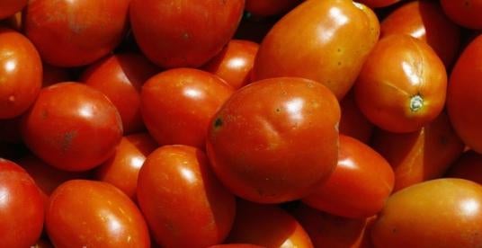 Tomato Lawsuit Debates Packaging Trademark