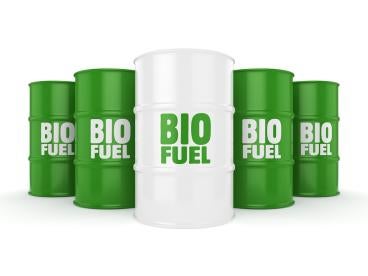 green and white biofuel barrels containing B20 biodiesel for Iowa