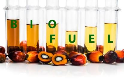 bio, test tubes, biofuel, bioproducts, DOE