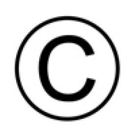 copyright, medical animation, second circuit