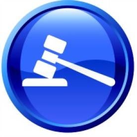 gavel icon, insurance and litigation