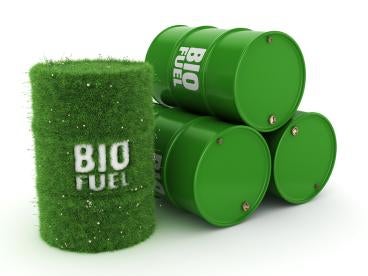 sustainability of biofuels European Union EU