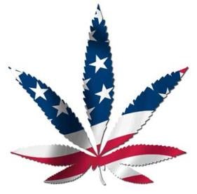 US House Votes Block Feds State Cannabis Laws Interference 