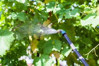 pesticide spray, epa, guidelines