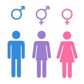 Transgendered, Supreme Court Justices Temporarily Halt Transgender Bathroom Mandate