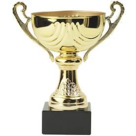 trophy cup, rosalind franklin award
