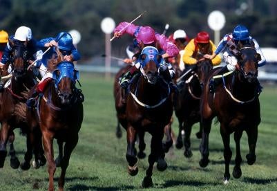North Carolina horse betting wager
