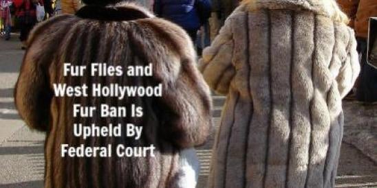 Fur Flies and West Hollywood (“WeHo”) Fur Ban Is Upheld By Federal Court";s: