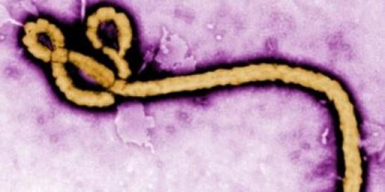Ebola Response Missing A Critical Player