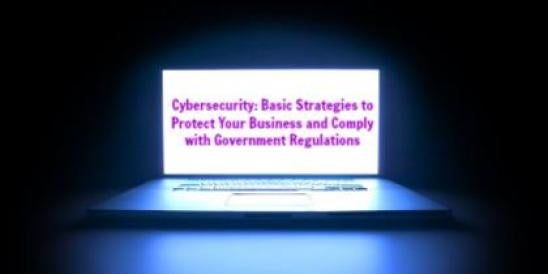 Cybersecurity: Basic Strategies to Protect Your Business and Comply with Governm