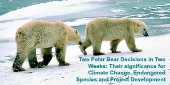Two Polar Bear Decisions in Two Weeks: Their significance for Climate Change, En