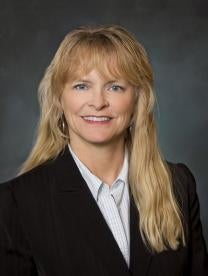 Anne Alkman Scalese, Of Counsel, Lewis and Roca Law Firm