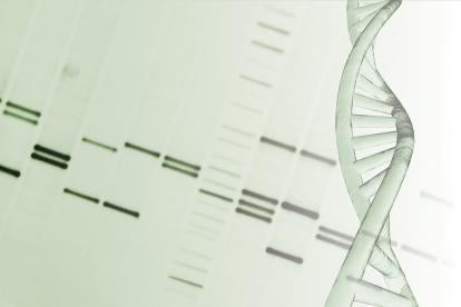 DNA, Genetically Engineered