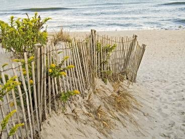 Massachusetts Receives Grant to Monitor and Notify Beach Goers of Bacteria Levels 