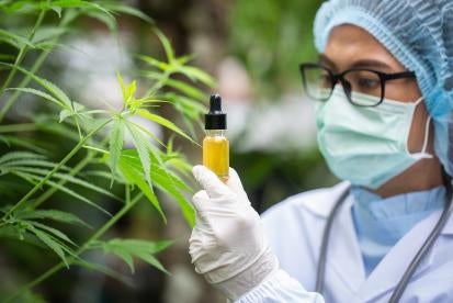 cannabidiol CBD testing by scientist holding vial of oil, not currently regulated