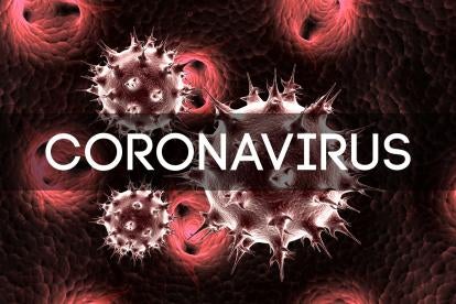 emergency coronavirus bill amendments