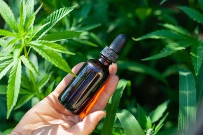 Hemp oil is good for so many things