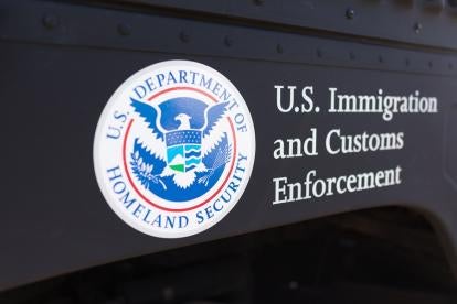 immigration, customs, enforcement, seal, metal