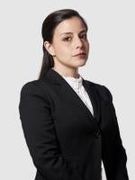 Ana Silva Corporate Law Greenberg Traurig