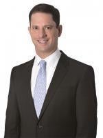 Michael Sklaire, Greenberg Traurig Law Firm, Northern Virginia, Washington DC, Finance and Corporate Law Attorney 