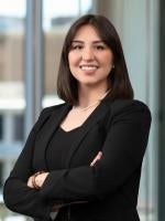 Annie G. Willett Contracts Lawyer Bracewell Law Firm 