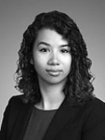 Liên H. Payne, Sheppard Mullin, commercial litigation lawyer, tort contract disputes attorney 