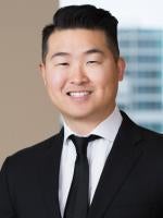 Peter Lee, Brinks Gilson Law Firm, Chicago, Intellectual Property Litigation Attorney 