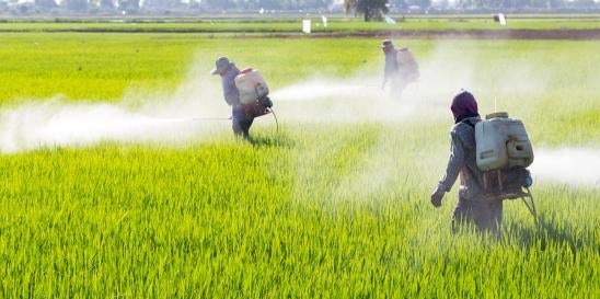 chlorpyrifos are pesticides used commonly on farms