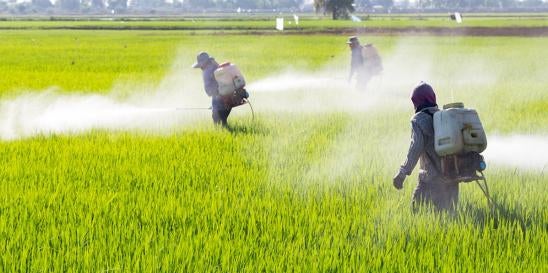 Annual Pesticide Maintenance Fee Forms Available from EPA