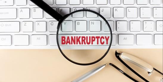 Weekly bankruptcy report for Chapter 7 and 11 filings