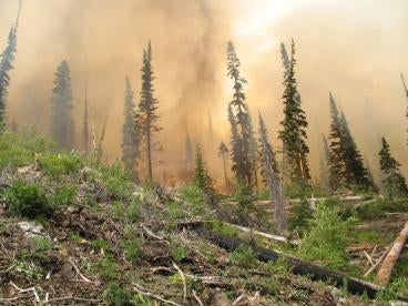 Oregon Final Rule Takes On Heat Illness and Wildfire Pollution